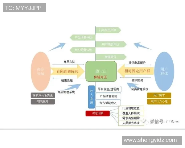深入分析南京篮球队的运营策略与战术布局探讨