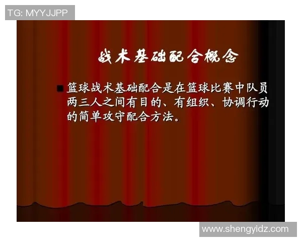 深入分析重庆羽毛球队快攻战术及其在比赛中的应用技巧