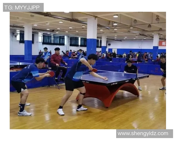 赵强亲自传授排球技巧与心得体会助你提升竞技水平